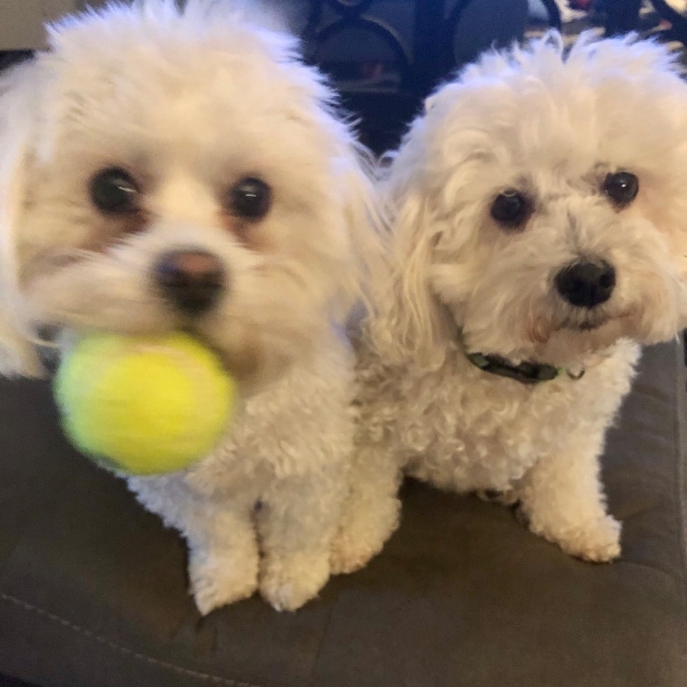 Meet your Posher, Kathie